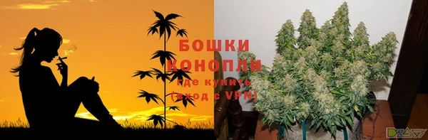 СК Березники