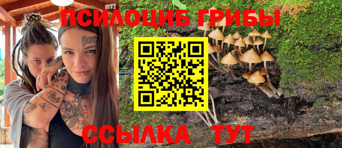 Усть-Кут  Псилоцибиновые грибы Psilocybe  Галлюциногенные грибы мухоморы  Вход с VPN 